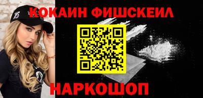 индика Можга