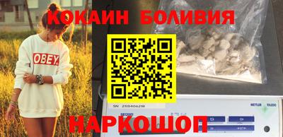 индика Можга