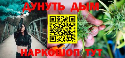 индика Можга