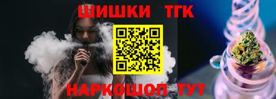 индика Можга
