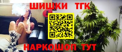 индика Можга