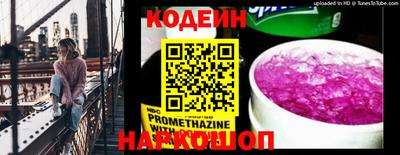 индика Можга