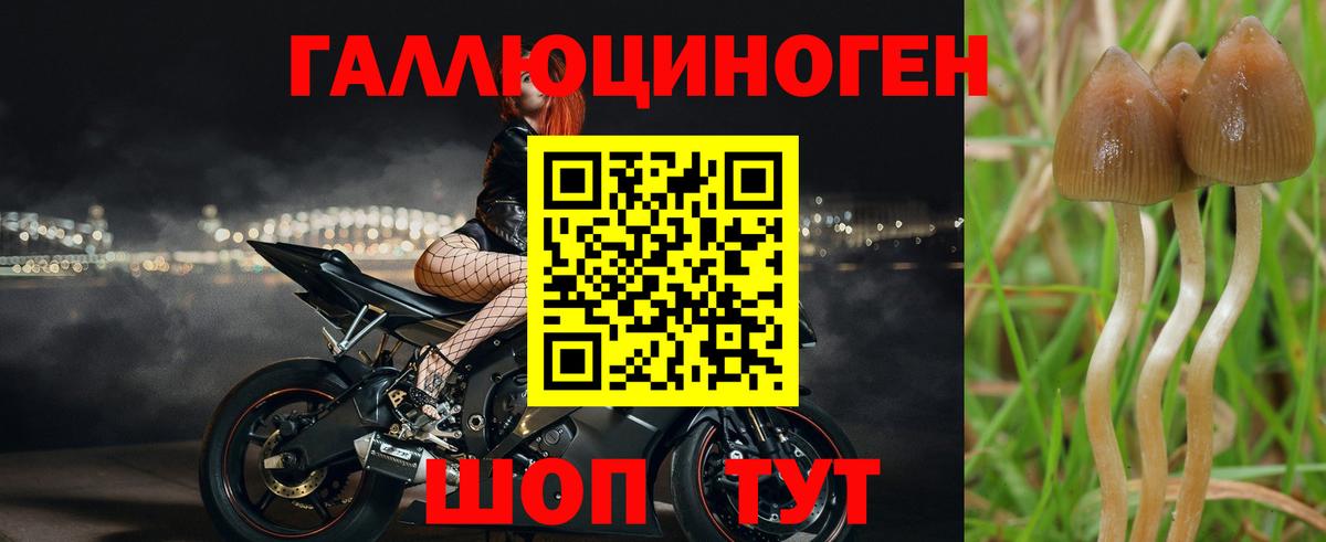 Галлюциногенные грибы Magic Shrooms Чусовой